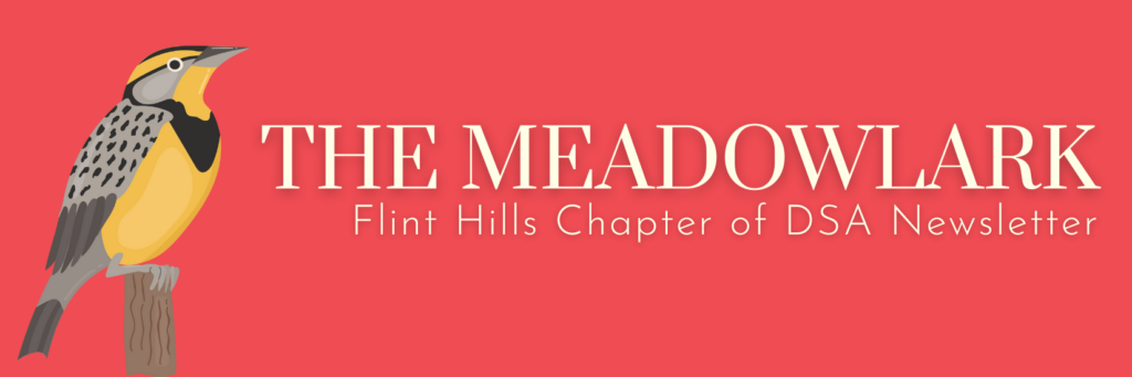 meadowlarkbanner