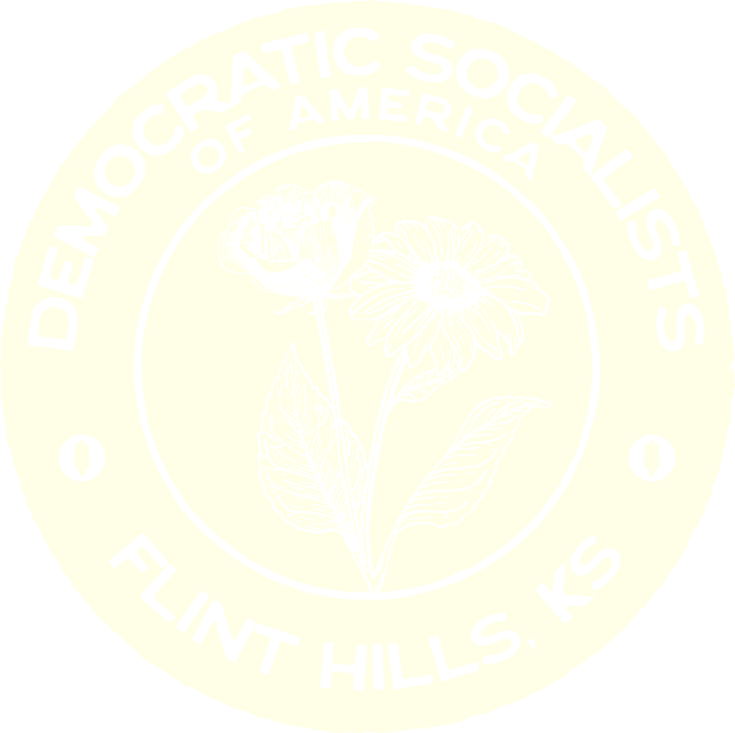 Flint Hills DSA logo