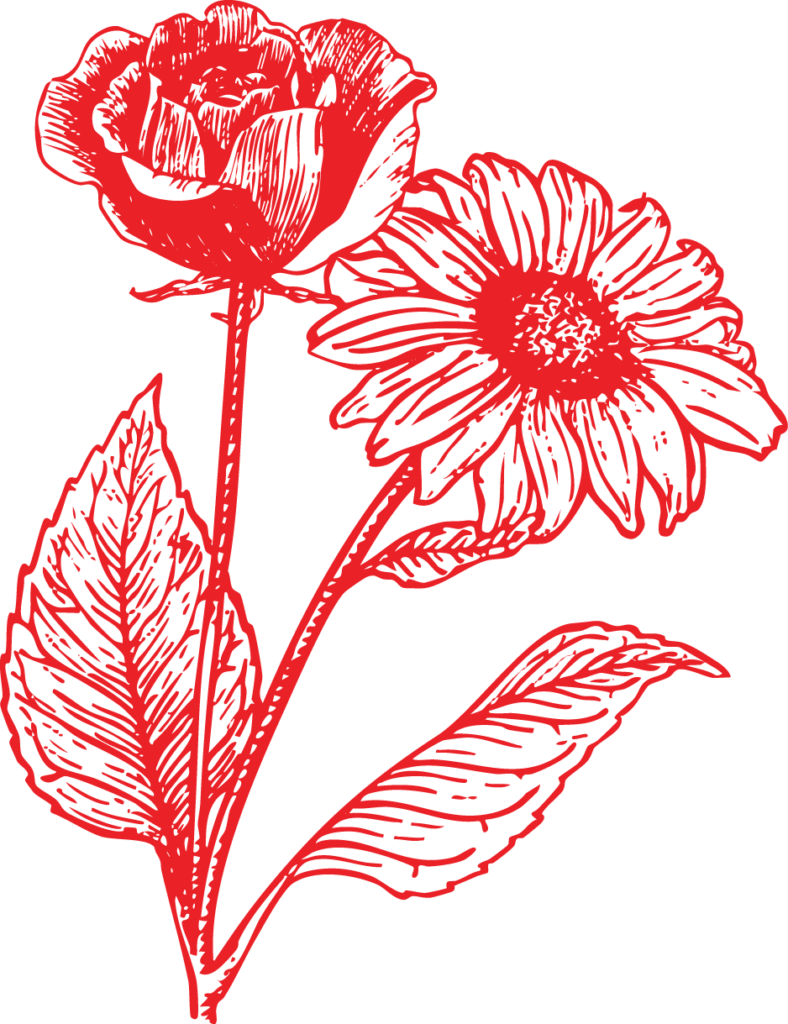 fhdsa red flowers2