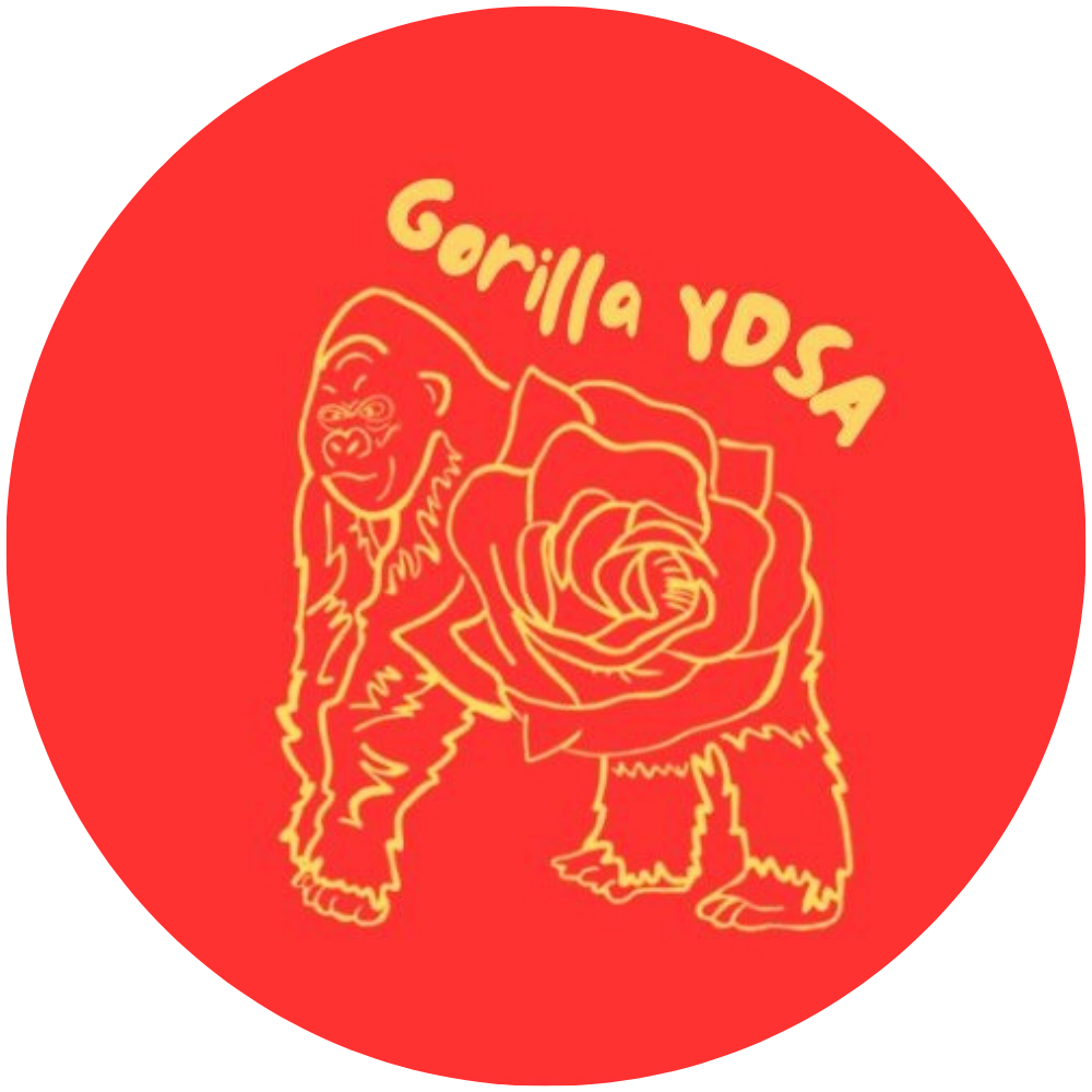 kansas dsa logos (7)